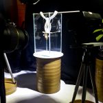 Eclosion Enclosure.