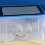 Small Holding box for Crickets etc.