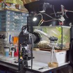 Photobench with Vivarium
