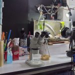 Photobench with Vivarium