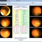 NF-Form_browser